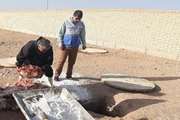  ضبط و معدوم  سازی   118کیلوگرم گوشت قرمز در بشرویه 