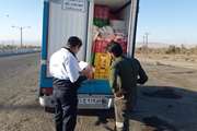 طرح نظارت ویژه خودروهای حمل  فرآورده های خام دامی در نهبندان