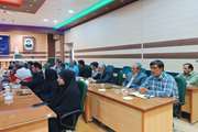 فرماندار شهرستان نهبندان از مسئول روابط عمومی شبکه دامپزشکی نهبندان تجلیل نمود