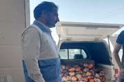 ضبط و جمع آوری 250 کیلو گرم مرغ تاریخ گذشته در شهرستان بیرجند
