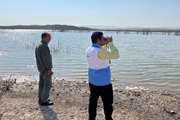 پایش آنفولانزای فوق حاد پرندگان در سدها و  آبگیرهای شهرستان قاینات به مناسبت گرامیداشت هفته پدافند غیر عامل