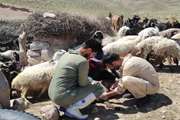 برگزاری اردوی جهادی شهید جمهور در روستاهای کم برخوردار شهرستان زیرکوه