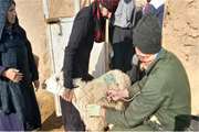 برگزاری اردوی جهادی در روستای چاهک شهرستان قائن به مناسبت گرامیداشت هفته بسیج