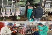 نظارت شبکه دامپزشکی بر استحصال بیش از هزار تن گوشت مرغ سالم و بهداشتی در کشتارگاه طیور قاینات