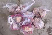 شناسایی و ضبط ۲۲ کیلوگرم فرآورده خام دامی غیر قابل مصرف در شهرستان قائن 