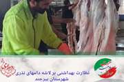 نظارت بهداشتی 10 اکیپ بر 1829 رأس دام سبک و سنگین و 20 تن گوشت منجمد برزیلی در دهه محرم