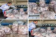 کشف بیش از ۱۶۰ کیلوگرم مرغ غیر قابل مصرف انسانی در شهرستان قائن