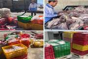 ضبط و معدوم سازی بیش از ۱ تن گوشت گوسفندی منجمد وارداتی در شهرستان قائن