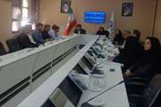 برگزاری جلسه ستاد استانی پیشگیری و کنترل بیماری آنفلوانزای فوق حاد پرندگان در خراسان جنوبی