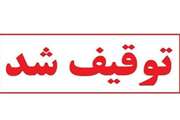 توقیف محموله ۱۳ تنی تخم‌مرغ فاقد هویت در شهرستان قائن
