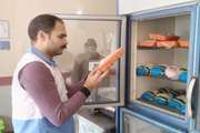 تداوم خدمت در دامپزشکی