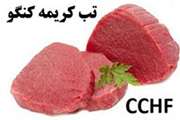 توصیه‌های بهداشتی پیشگیری از بیماری خطرناک تب خونریزی دهنده کریمه کنگو 