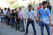 برگزاری مسابقه طناب کشی در دامپزشکی 