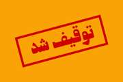 کشف  282کیلوگرم گوشت کوسه از یک محموله غیر مجاز ماهی در بیرجند