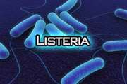 طغیان لیستریوزیس ناشی از شیر غیر پاستوریزه در آمریکا