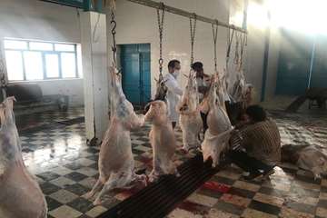 در بهمن ماه چه گذشت: