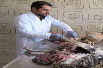 در شهریور  ماه چه گذشت :
