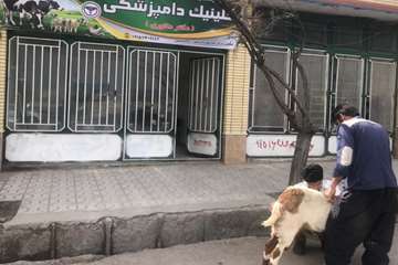در اسفندماه چه گذشت: