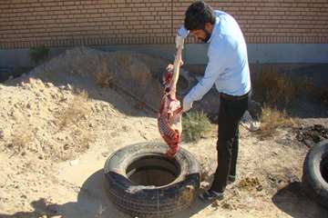 در آبان ماه چه گذشت: