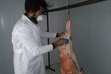 در مرداد ماه چه گذشت :