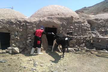 در مرداد ماه چه گذشت :