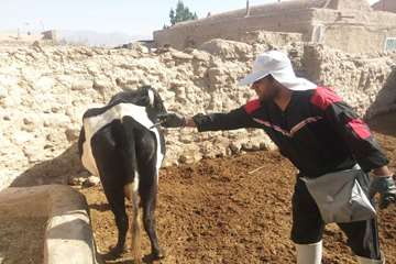 در بهمن ماه چه گذشت: