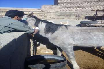 در دی ماه چه گذشت: