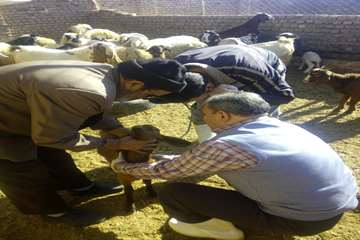در دی ماه چه گذشت: