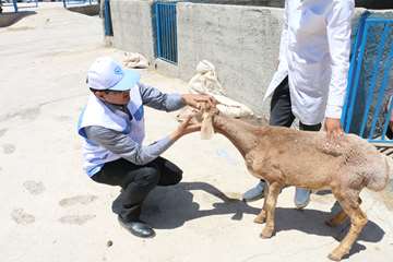 در مرداد ماه چه گذشت :