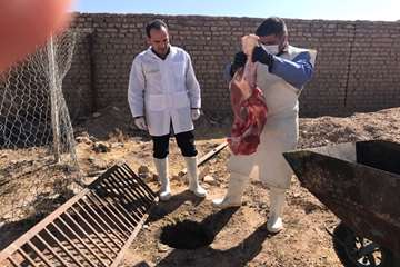 در مهر ماه چه گذشت: