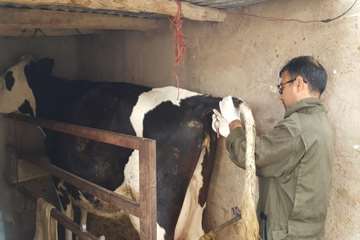 در بهمن ماه چه گذشت: