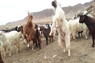 در اسفندماه چه گذشت: