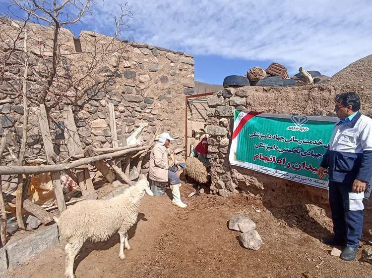 15 روستای کمتر توسعه یافته از خدمات دامپزشکی بهره مند شدند