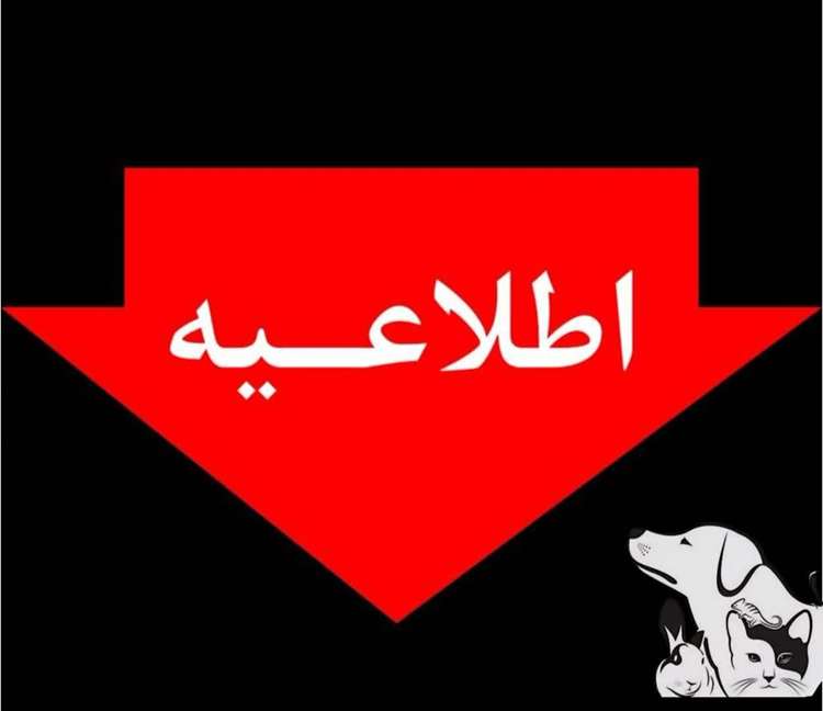 اطلاعیه بهداشتی برای مرغداران در پی افزایش دمای هوا و احتمال قطعی برق