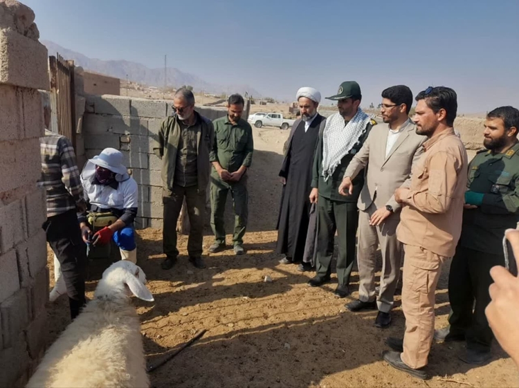 برگزاری اردوی جهادی دامپزشکی در روستای بقرایی شهرستان زیرکوه
