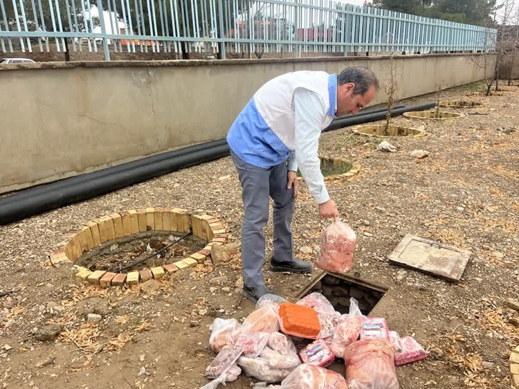 کشف و معدوم سازی ۱۰۵ کیلوگرم فرآورده خام دامی تاریخ گذشته در شهرستان قائن