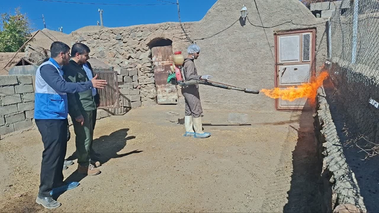 برگزاری مانور بیماری تب برفکی در شهرستان نهبندان