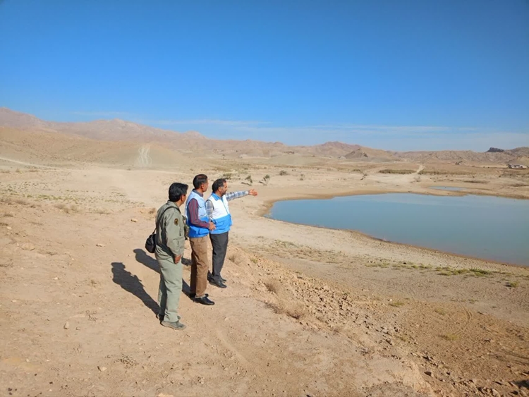 گشت مشترک کارشناسان شبکه دامپزشکی و اداره حفاظت محیط زیست شهرستان بیرجند