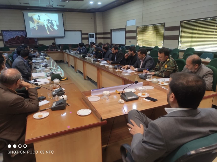 برگزاری کمیته هماهنگی و پیشگیری از  بیماری های تب برفکی و آنفلوانزای فوق حاد پرندگان در نهبندان