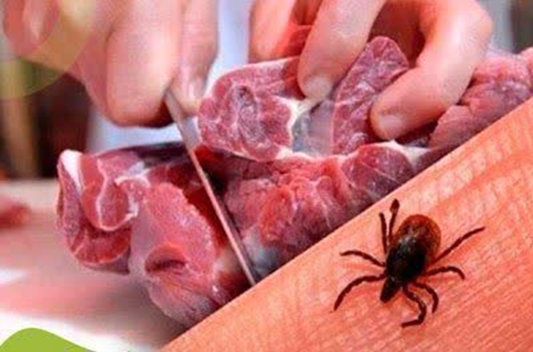 هشدار بهداشت عمومی؛ بیماری تب کریمه کنگو در کمین است