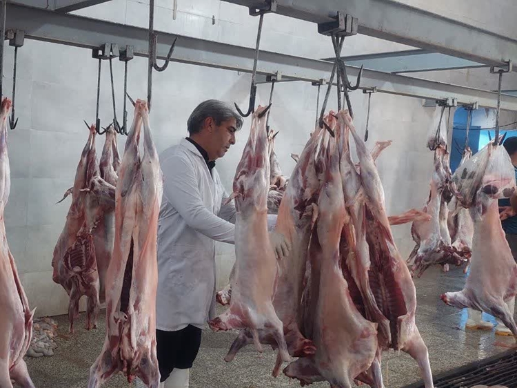 نظارت بهداشتی بر ذبح 343راس دام نذری در ایام محرم توسط شبکه دامپزشکی شهرستان طبس