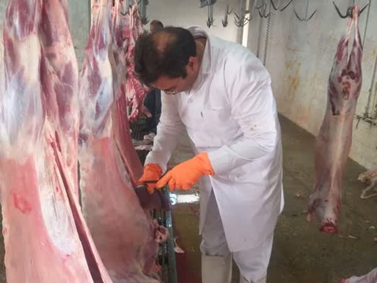 نظارت بهداشتی بر کشتار  8هزار و 388راس دام سبک و سنگین در شهرستان طبس 
