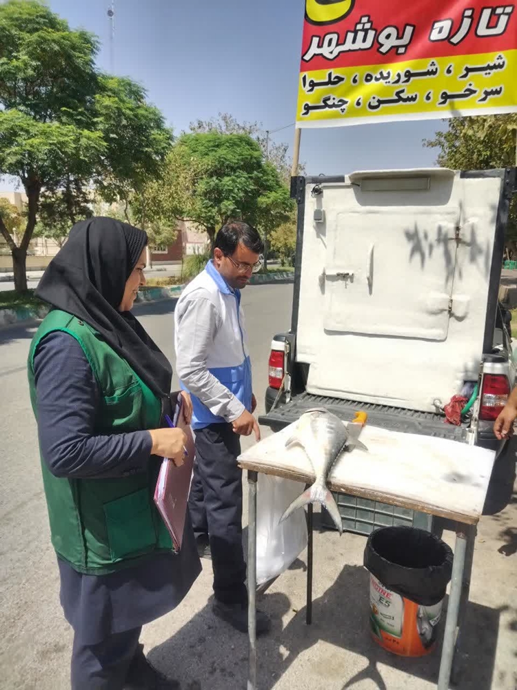 نظارت مستمر شبکه دامپزشکی شهرستان بشرویه بر مراکز عرضه فراورده های خام دامی      